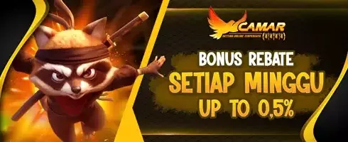 Cashback VIP Hingga 0,5% Setiap Minggu promotion banner