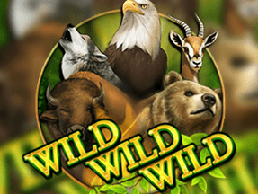 Wild Wild Wild thumbnail